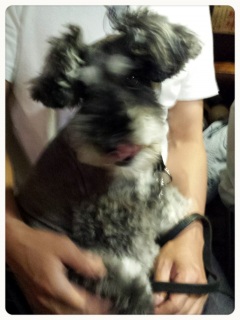 �L���[��