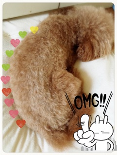 ���B�[�i�X���C��