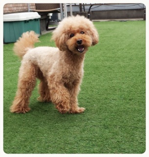 ����Ȃ炻���