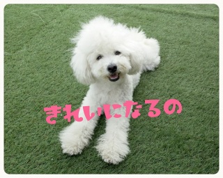 �Y��Ă���