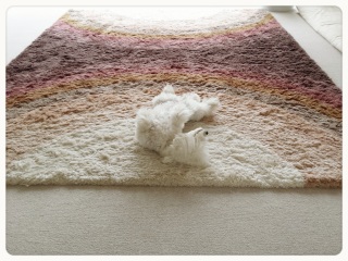 �ւ��V�����