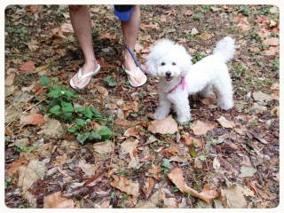 �n�b�s�[�A���[