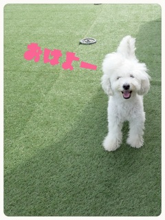 �M���M��