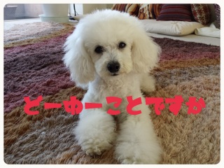 ����ɂ�΂�(^-^;