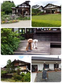 �����݂̗�