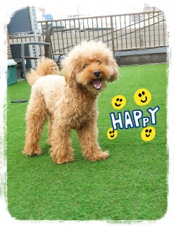 ���C�݂Ȃ���