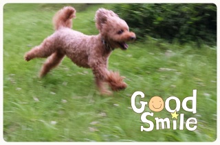 ���҂�����