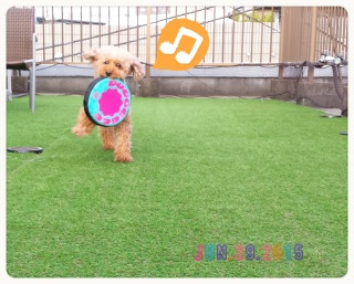 �t���X�r�[