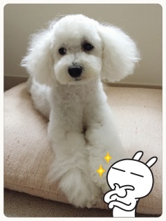 ���[������