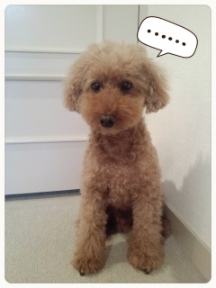 ���H���c