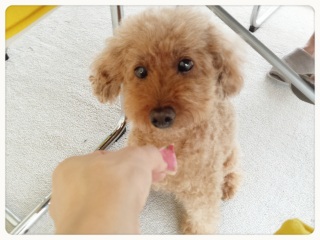 �D������