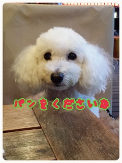 �L����