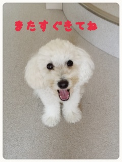 �܂����Ă�