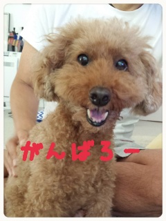 ���T��