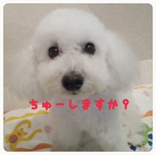 �s�s�`��