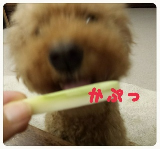 ���