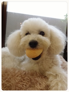 �Q�������J