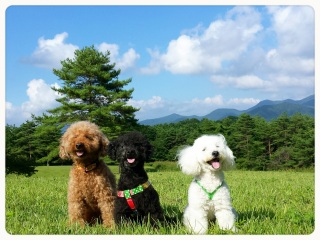 ��������