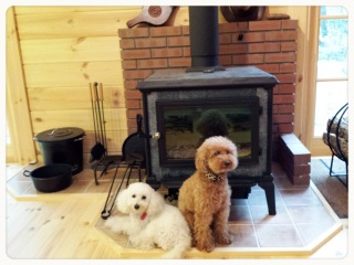 �����Ȃ�