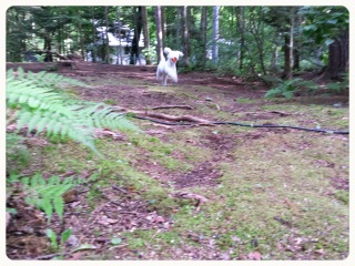 �{�[������