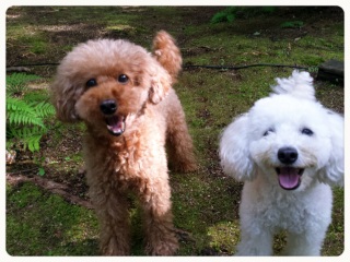 ���ĂȂ����ǁc