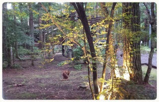 �r�r����