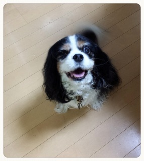 ��������Ⴂ