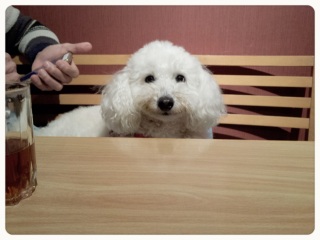 ���e����c