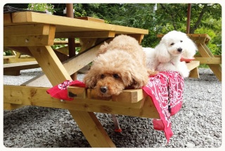 �������N