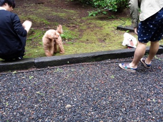 �}���c�[�}��