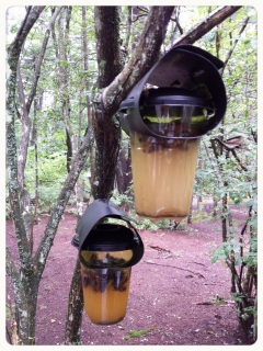 �X�Y���o�`