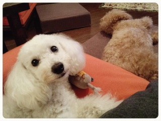 ���H�̌y���