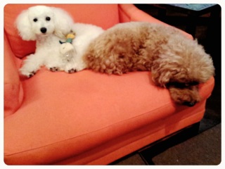 ���[���[