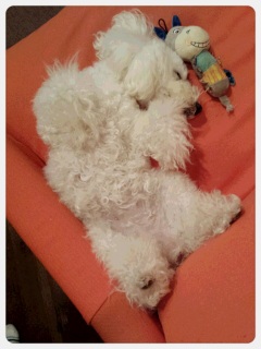 ��ӐQ����