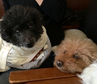 ��������