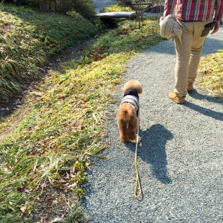 ���U���R�[�X