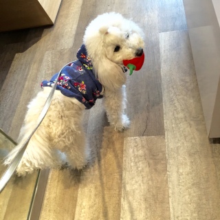 �j���[�t�F�C�X