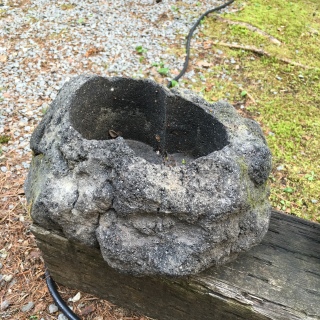 �n��