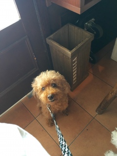���[�[�[