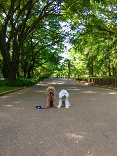 ���낻��