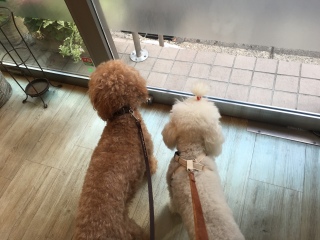 �A�肽��