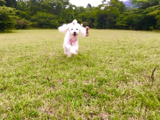 �H���̑O��