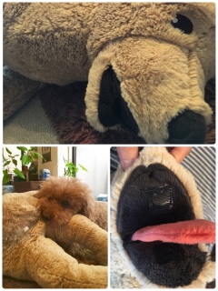 ��