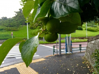 �`