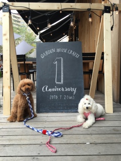 1st Anniversary