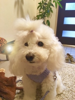 ��U��