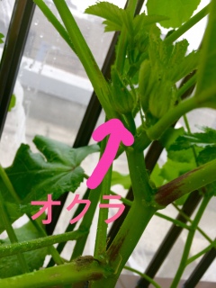 �I�N��������