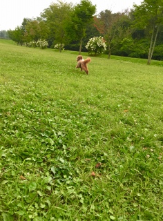����