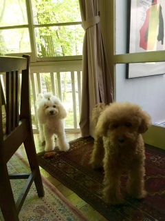 ���ꂽ�[