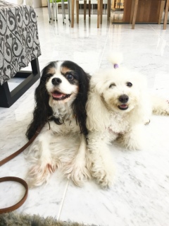 �C��������